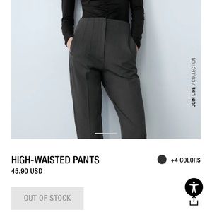 Zara High Waisted Pants NWT